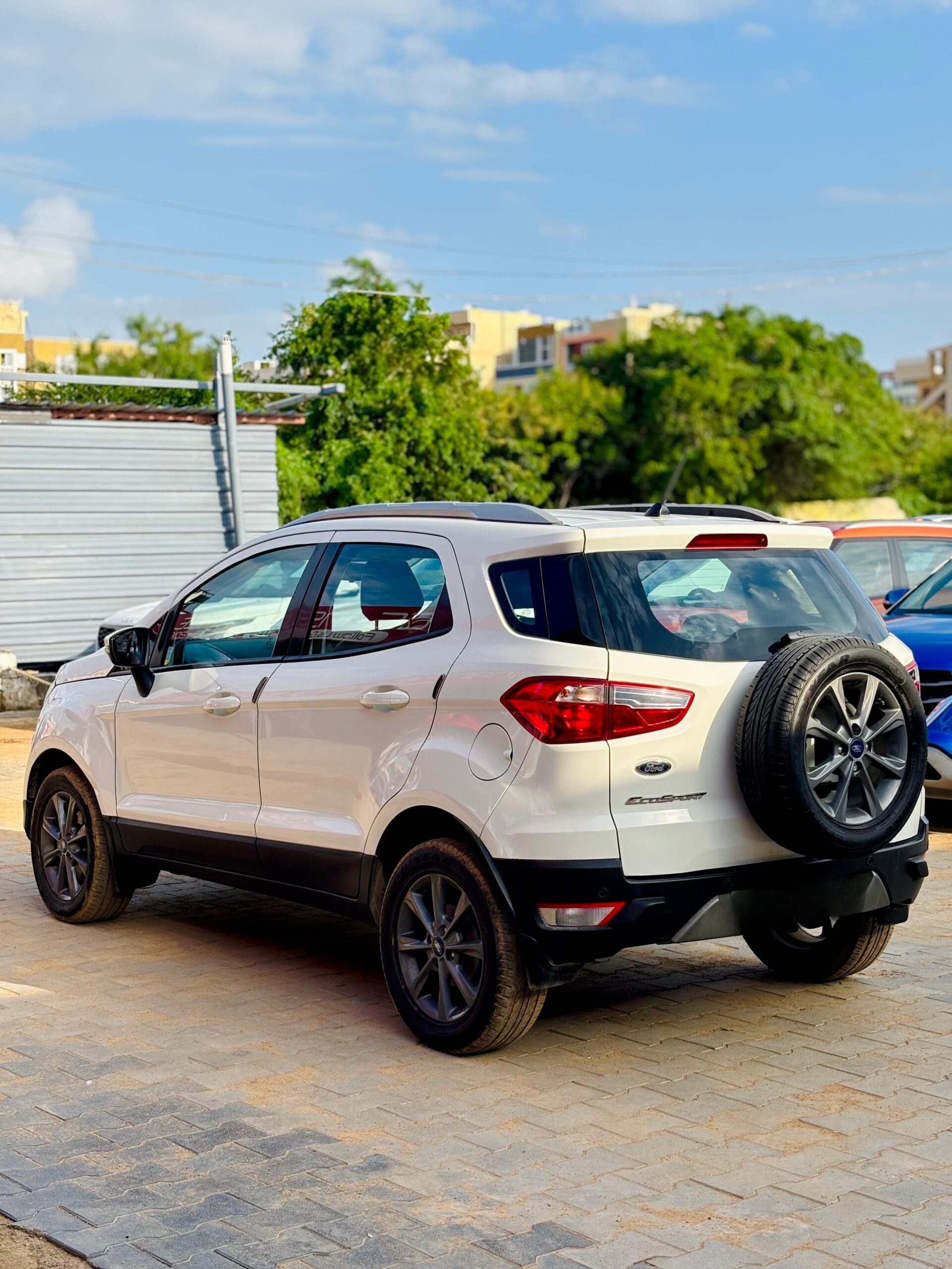 Whatsapp image 2025 09 25 at 3.09.50 pm